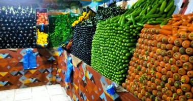 سعر الخضار والفاكهة اليوم الخميس 16-1-2025 بأسواق مطروح.. البصل بـ 15 جنيها
