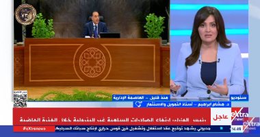 هشام إبراهيم: الدولة تعطى أهمية كبرى لقطاع البترول والغاز