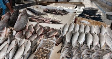 سعر السمك اليوم الخميس 16-1-2025 بالإسماعيلية.. الجمبرى يبدأ من 70 جنيها