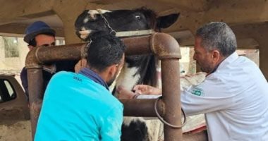  تحصين وكشف وعلاج أكثر من 13ألف رأس ماشية وطيور فى الدقهلية