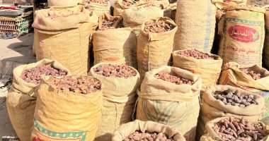 روايح رمضان.. أسواق قنا تجهز التمور لبيعها خلال الشهر الكريم.. فيديو