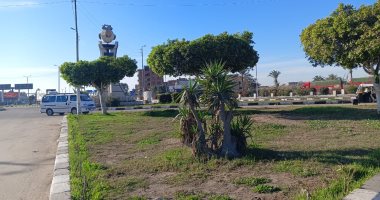 سطوع الشمس واستقرار حالة الطقس اليوم بالإسماعيلية.. فيديو