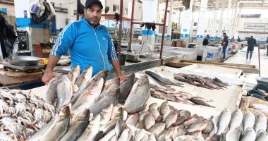 أسعار الأسماك اليوم السبت 18/1/2025 فى الإسماعيلية