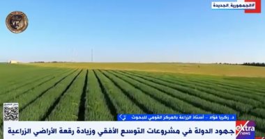 أستاذ بالقومى للبحوث: جهود الدولة وفرت كل المنتجات الزراعية رغم التحديات