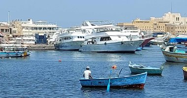 دليل لأفضل أماكن يمكن الاستمتاع بها بالإسكندرية فى الشتاء.. زيارة المناطق الأثرية وأشهرها قلعة قايتباى وعامود السوارى وجبانة الشاطبى.. 15 متحفا أبرزها متحف "المجوهرات واليونانى والرومانى".. صور