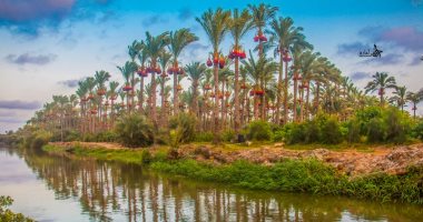 مصر حلوة فى عيون ولادها.. "أحمد" يرصد الجمال الطبيعى لمحافظة دمياط بالكاميرا