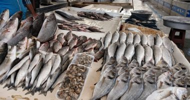 أسعار الأسماك اليوم الأحد 19\1\2025 فى الإسماعيلية