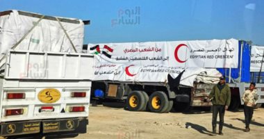 سائقو شاحنات المساعدات إلى غزة يحملون رسالة تضامن وحب مصر للشعب الفلسطينى.. الشاحنات تمتد مساراتها من العريش إلى رفح.. نقل كل أنواع المؤن الإغاثية.. ويؤكدون: سعداء لمشاركة الغزاوية فرحة وقف إطلاق النار.. صور شاحنات المساعدات إلى غزة