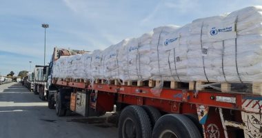 الأغذية العالمي: نهدف لعبور 150 شاحنة إلى غزة يوميا