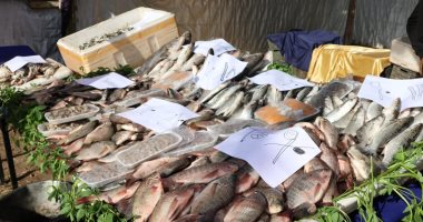 أسعار الأسماك اليوم الإثنين 20\1\2025 فى الإسماعيلية