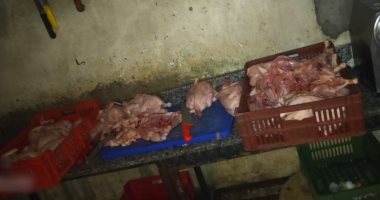 ضبط وإعدام أكثر من مليون كيلو أغذية غير صالحة للاستهلاك بسوهاج خلال 2024 