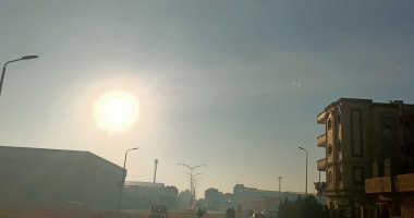 برودة شديدة فى الجو على معظم الأنحاء.. مباشر حالة الطقس من المنوفية