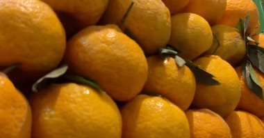سعر الخضراوات والفواكه بالأسواق اليوم الثلاثاء فى المنوفية