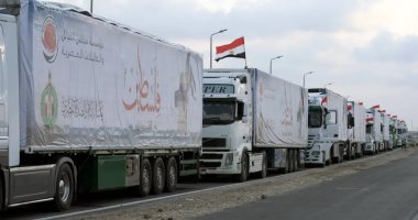 مصر لم تدخر جهدًا في تقديم المساعدات للأشقاء الفلسطينيين.. فيديو