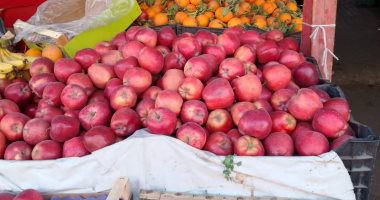 أسعار الخضروات والفواكه اليوم الثلاثاء 21-1-2025 فى أسواق الغربية