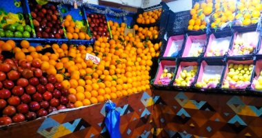 أسعار الفاكهة اليوم الأربعاء 22-1-2025 بأسواق مطروح.. الفراولة بـ 30 جنيها