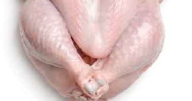 سعر الفراخ البيضاء اليوم الأربعاء 12 -2- 2025 فى أسواق الإسكندرية