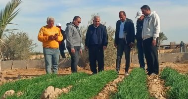 نقيب الزراعيين: إجراء تجارب لزراعة «التين الأملس» فى سيناء لخدمة السياحة البيئية تنفيذ مشروعي زراعة أصناف من القمح