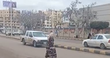 طقس متقلب ورفع حالة الطوارئ بكفر الشيخ.. فيديو