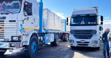 دخول مساعدات إنسانية لغزة من معبر رفح.. فيديو وصور