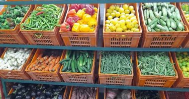 أسعار الخضروات بأسواق دمياط اليوم الخميس 23 يناير 2025.. الطماطم بـ 5 جنيهات