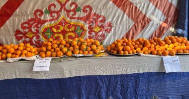 افتتاح المعرض الدائم بميدان بمدينة قنا لتوفير السلع الغذائية افتتاح المعرض الدائم بميدان بمدينة قنا لتوفير السلع الغذائية