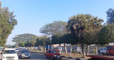 الطقس اليوم الخميس 23-1-2025 بالإسماعيلية.. زوال الشبورة المائية