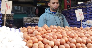 أسعار كرتونة البيض اليوم الخميس 23-1-2025 فى الإسكندرية
