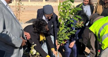 وزارة البيئة من خلال مشروع الغردقة خضراء تطلق حملة كبرى لزراعة 2000 شجرة بالمدينة