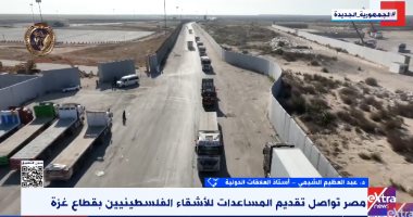 أستاذ علاقات دولية: الدور المصرى فى أزمة غزة يتطور وفقًا للتفاعلات