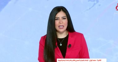 أمل الحناوى: تأتى الرياح الإسرائيلية بما لا تشتهى سفن السلام بالمنطقة