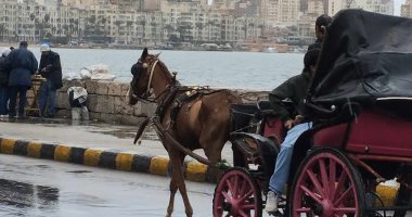 أمطار تضرب الإسكندرية مع تقلبات جوية شديدة البرودة.. فيديو