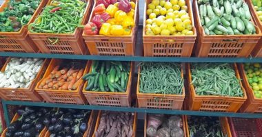 أسعار الخضروات بأسواق دمياط اليوم الإثنين 27 يناير 2025.. البطاطس بـ5 جنيهات