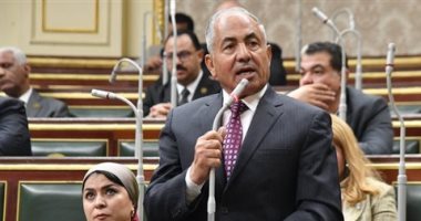 رئيس دفاع النواب: نرفض دعوات تهجير الفلسطينيين من أراضيهم والمساس بسيادة مصر