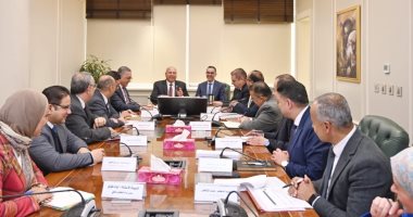 نائب رئيس الوزراء يبحث مع وزير الاستثمار معايير إنشاء مناطق حرة جديدة