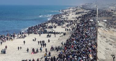 نادي قضاة مصر يدين دعوات تهجير الفلسطينيين.. ويُثمن موقف القيادة السياسية