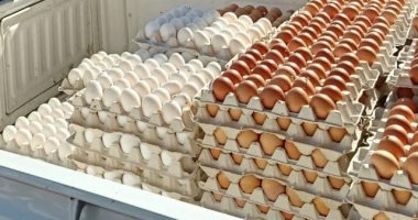 أسعار البيض والبقوليات اليوم الخميس 30-1-2025 فى سوهاج 
