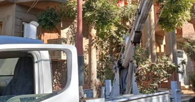 أعمال تطوير كفاءة إنارة الطرق بمدينة الزيتية ورفع 170 طن مخلفات.. صور