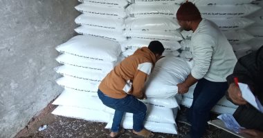محافظ الدقهلية: زيادة كميات الأسمدة بجمعية الستاموني الزراعية وإنهاء الزحام