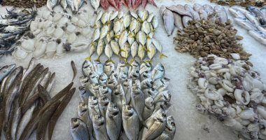 سعر السمك اليوم الثلاثاء 28-1-2025 ببورسعيد.. الشبار الأبيض بـ90 جنيهًا