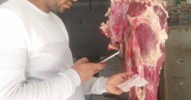 حملة بيطرية تضبط لحوم وأسماك غير صالحة للاستهلاك الأدمى بأسوان