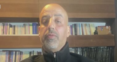 أستاذ علوم سياسية: موقف مصر بشأن القضية الفلسطينية "كان صارمًا"