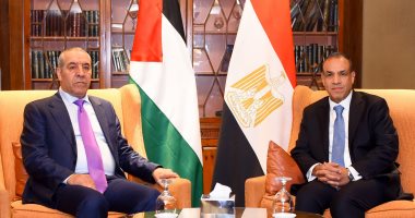 وزير الخارجية: اتصالات مصرية لتثبيت وقف إطلاق النار فى غزة