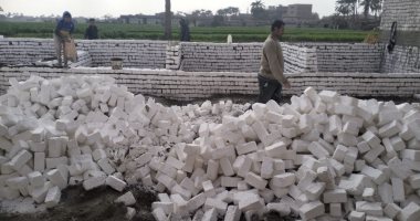 إزالة 20 حالة بناء مخالف وتعدٍ على الأراضى الزراعية وأملاك الدولة بالجيزة