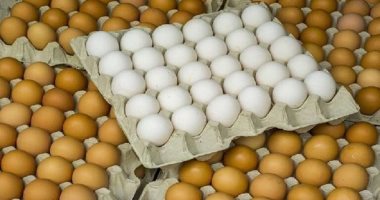 أمريكا تتجه لاستيراد البيض من تركيا بعد تفاقم تفشى إنفلوانزا الطيور