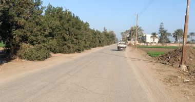 برودة شديدة فى الجو على معظم أنحاء محافظة المنوفية.. فيديو