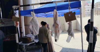 محافظ سوهاج يفتتح سوق اليوم الواحد بميدان الثقافة