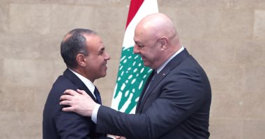 وزير الخارجية ينقل رسالة دعم وتضامن من الرئيس السيسى لنظيره اللبنانى