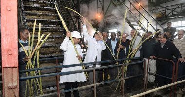 بدء موسم عصر القصب بمصنع سكر دشنا فى قنا