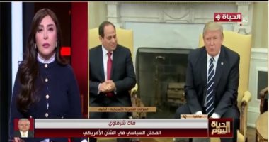 سياسي أمريكي: مكالمة الرئيس السيسى وترامب مهمة ومثمرة